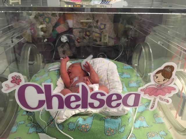 Chelsea in incubator.jpg