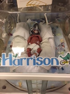 Harrison at birth_0.jpeg